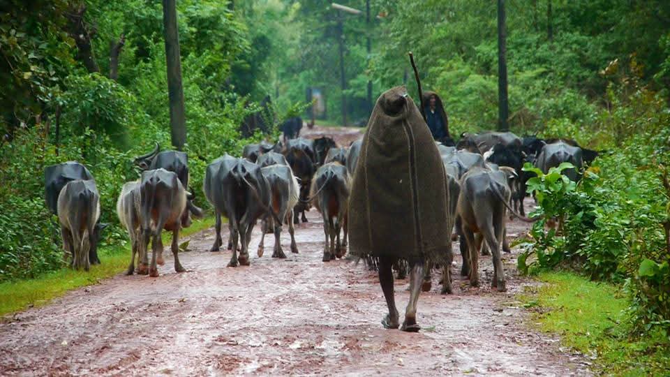 ‘तो’ जाचक आदेश तात्काळ मागे घ्यावा