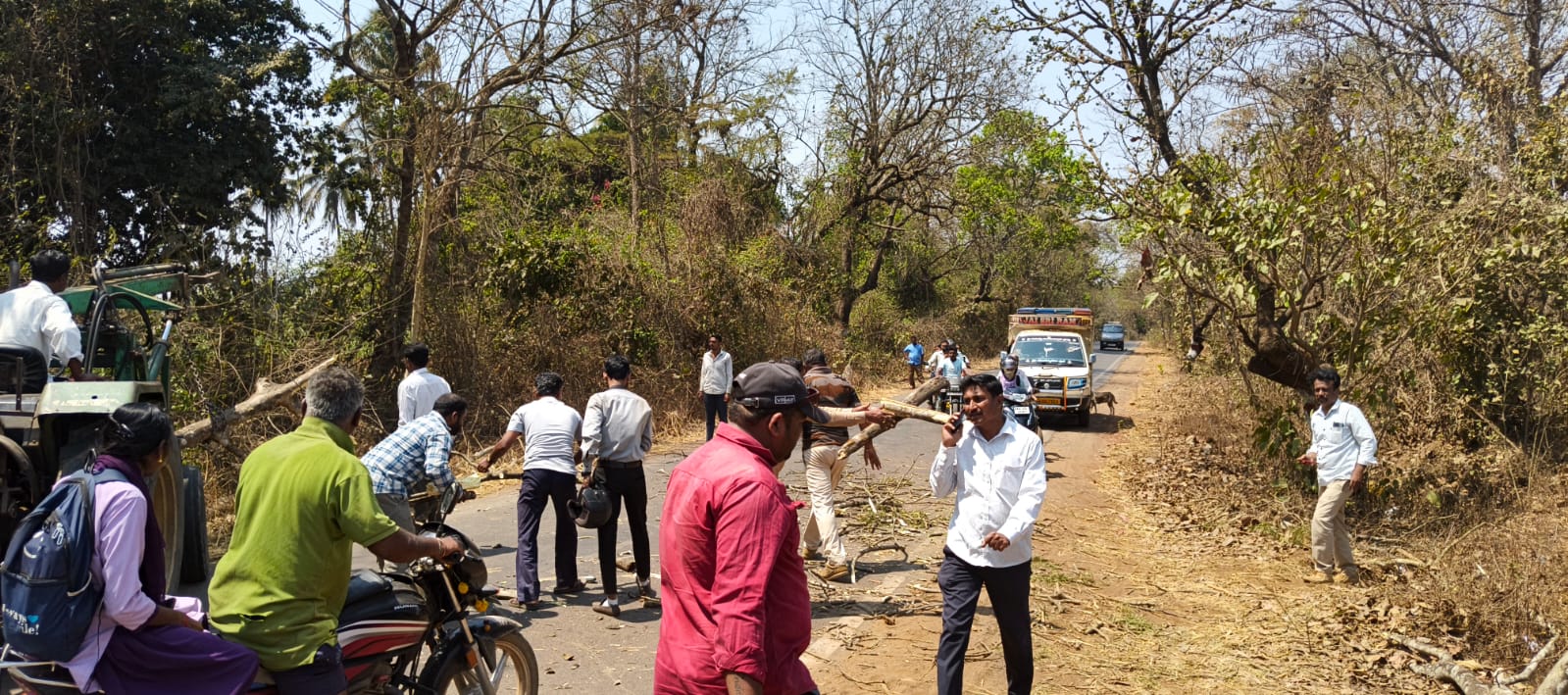 खानापूर-जांबोटी रस्त्यावर झाडाची फांदी कोसळून दुचाकीस्वार जखमी